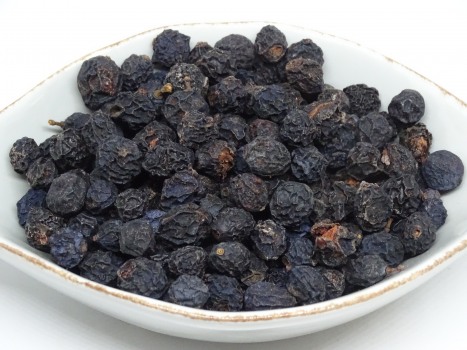 Schlehen Früchte bio