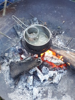 Preview: Wildkräuter für Hund und Halter - Pfotenbalsam