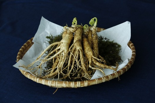 Ginseng (weiß) Wurzel bio