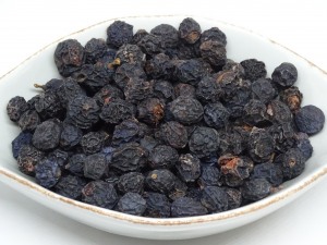 Schlehen Früchte bio